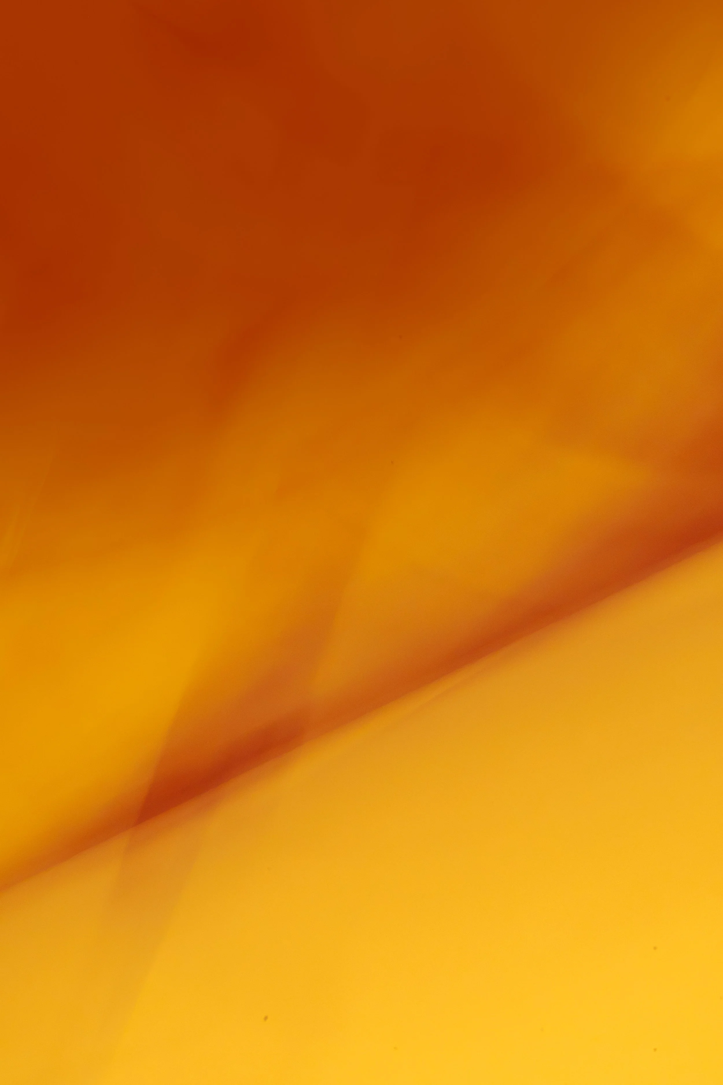 ICM Collection-52.jpg