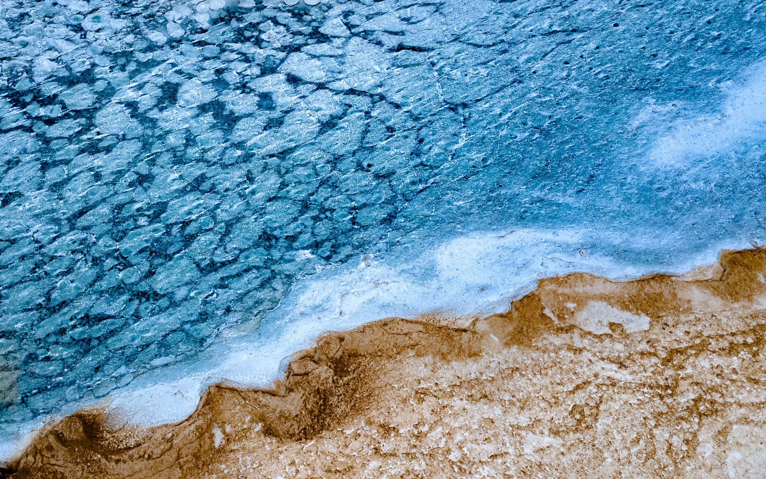 Shores-6.jpg