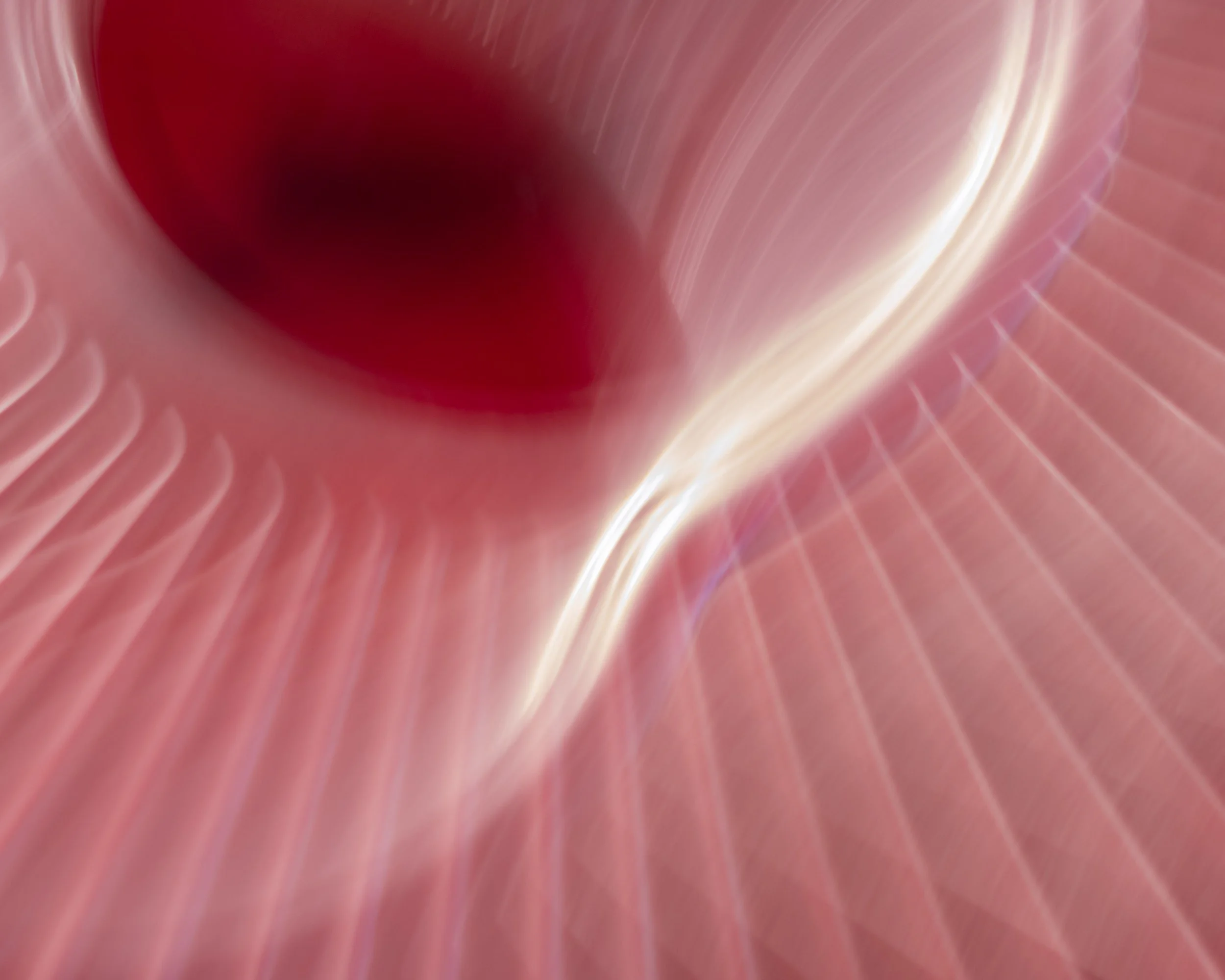 ICM Collection-5.jpg