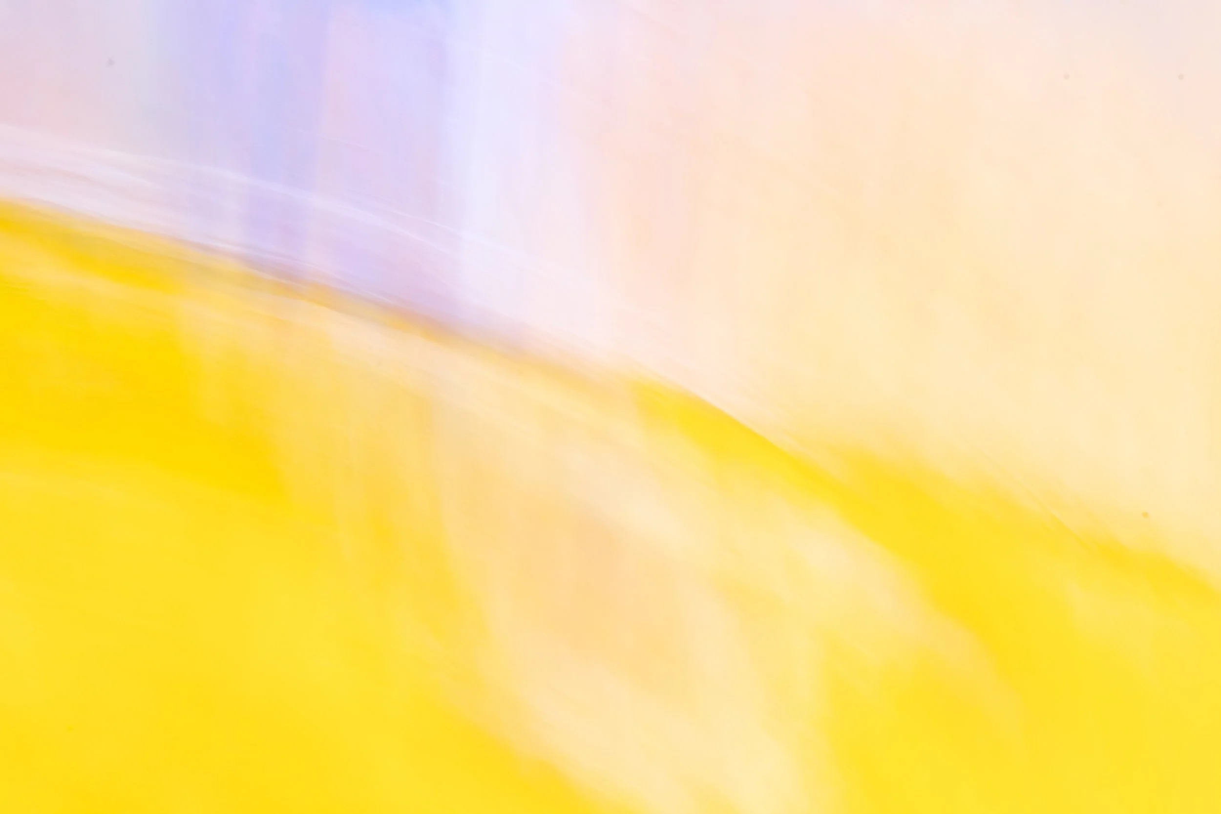 ICM Collection-48.jpg