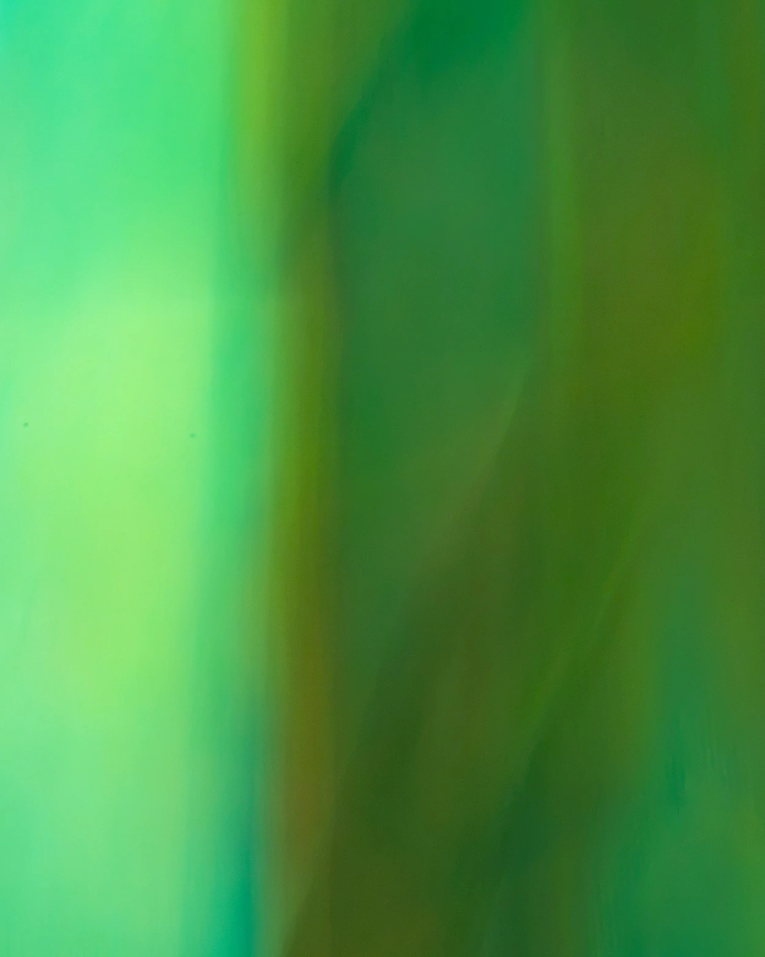 ICM Collection-51.jpg