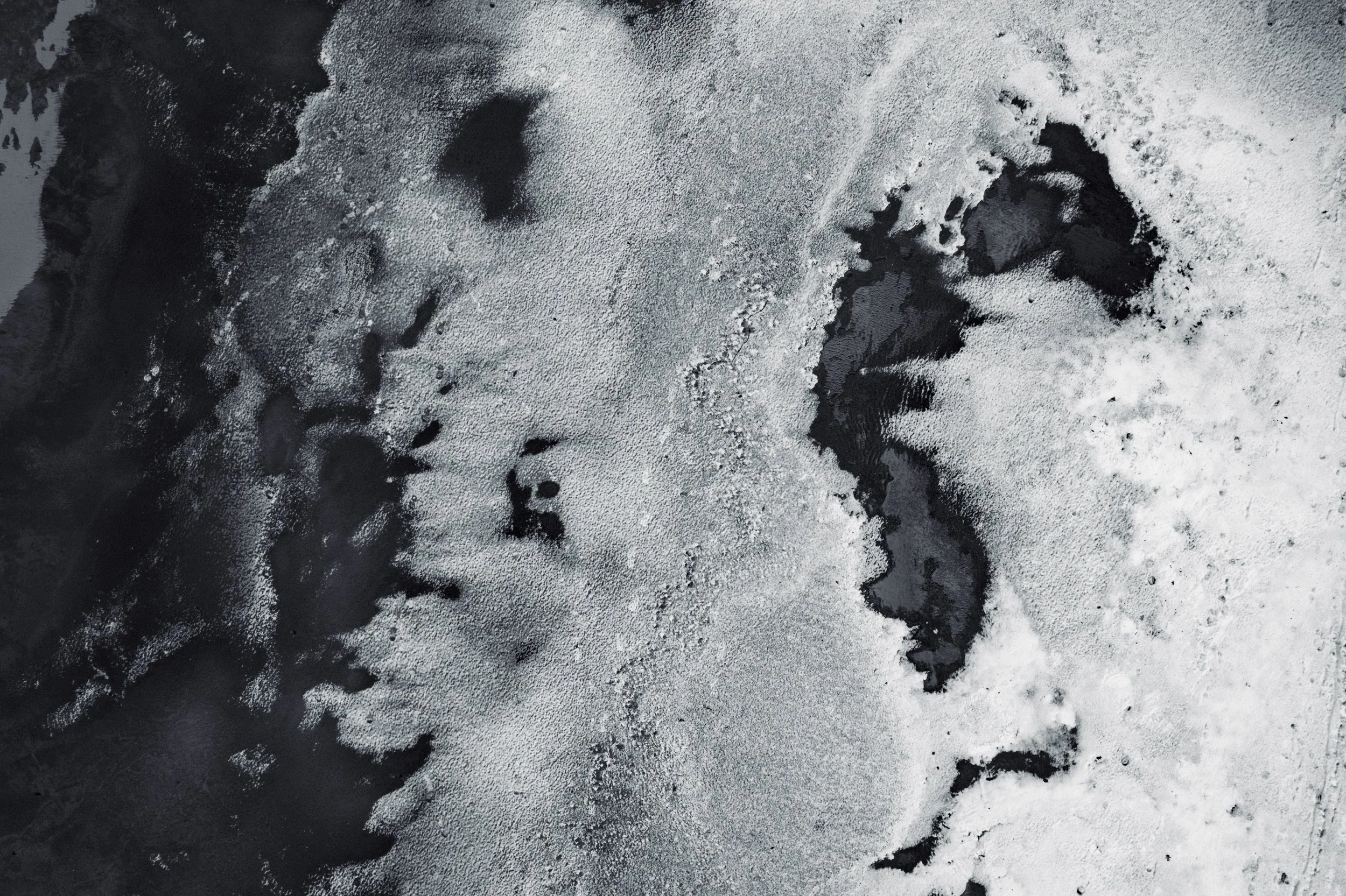 Shores-15.jpg
