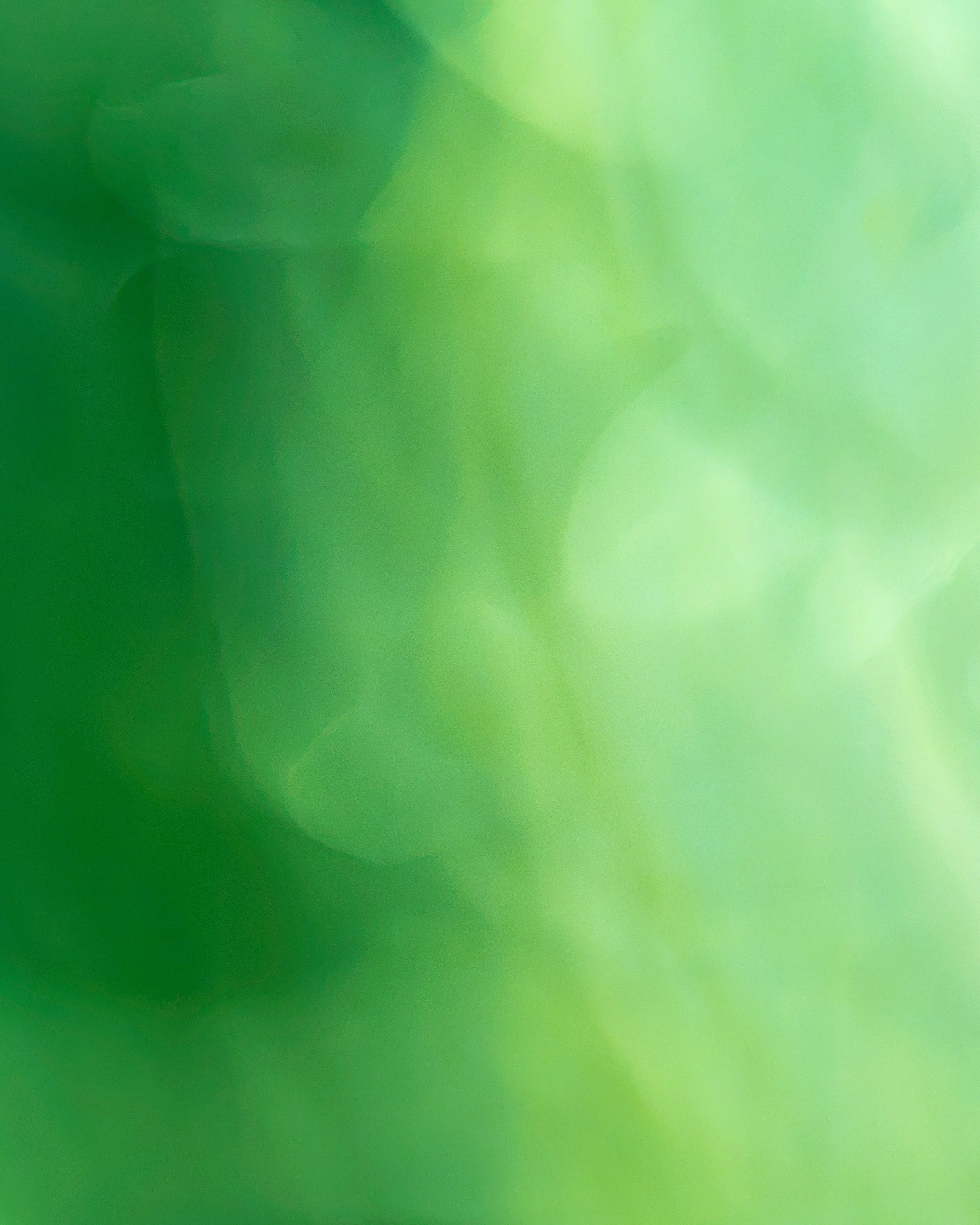 ICM Collection-54.jpg