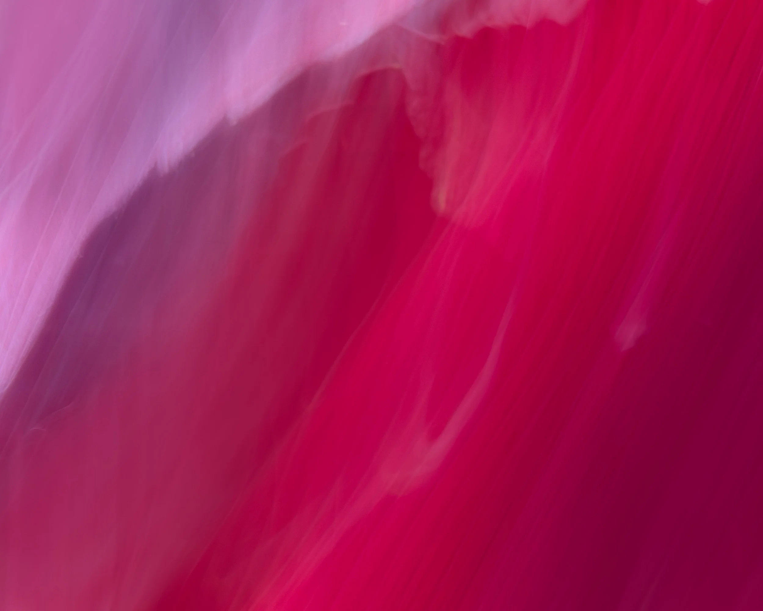 ICM Collection-44.jpg