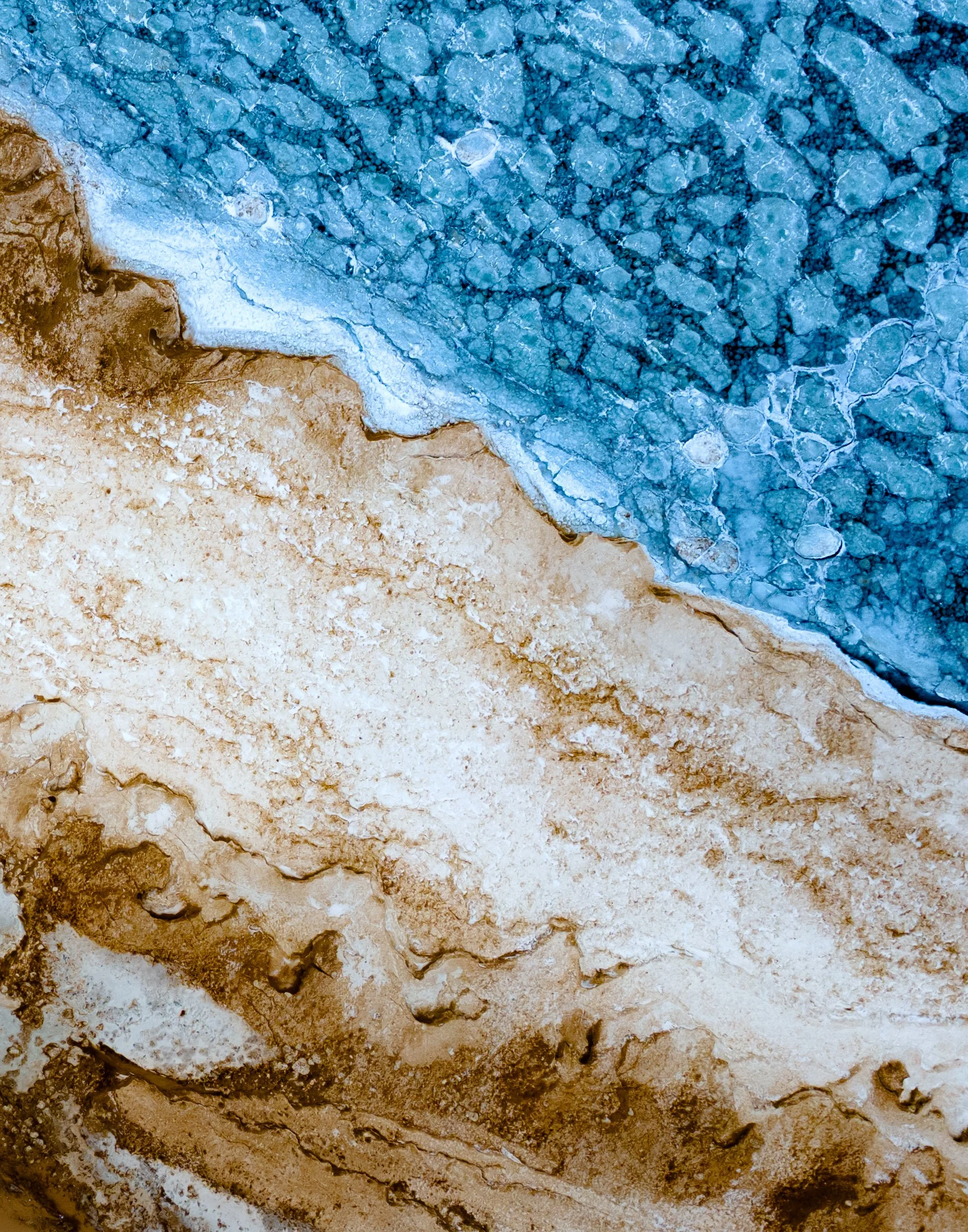 Shores-5.jpg