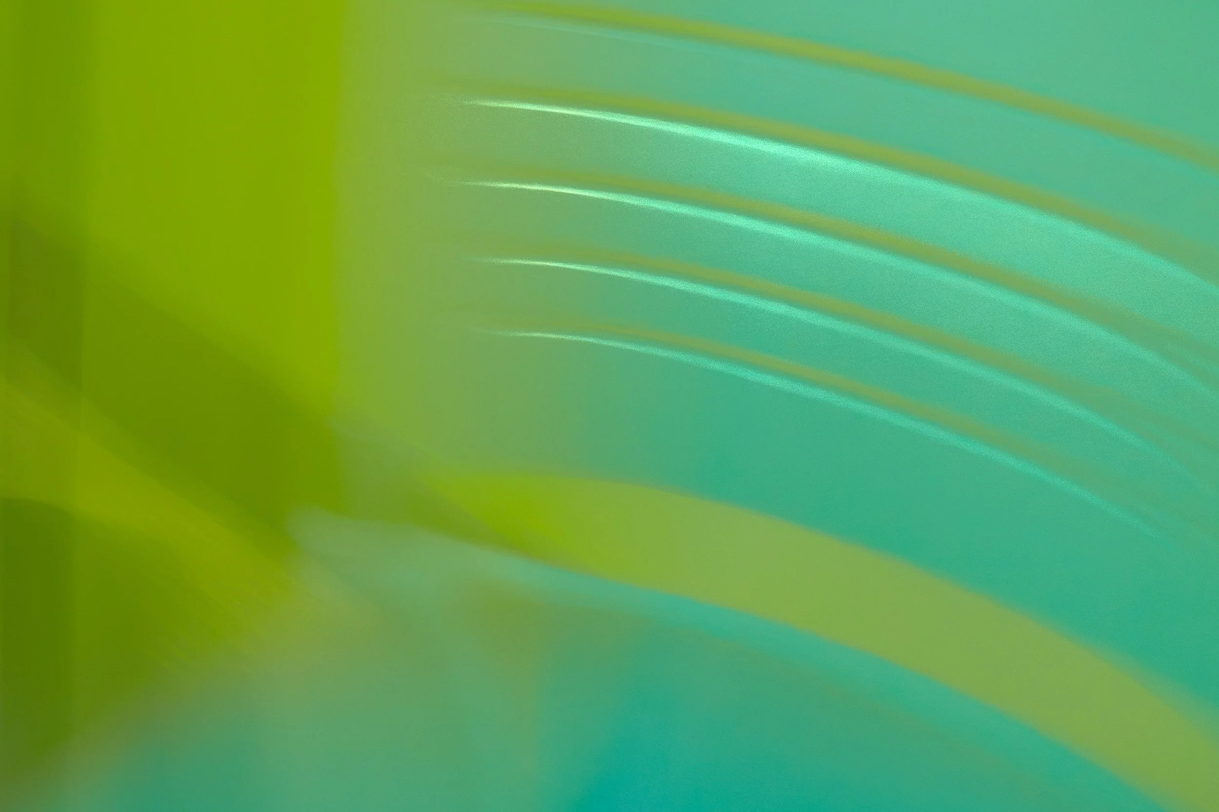 ICM Collection-38.jpg