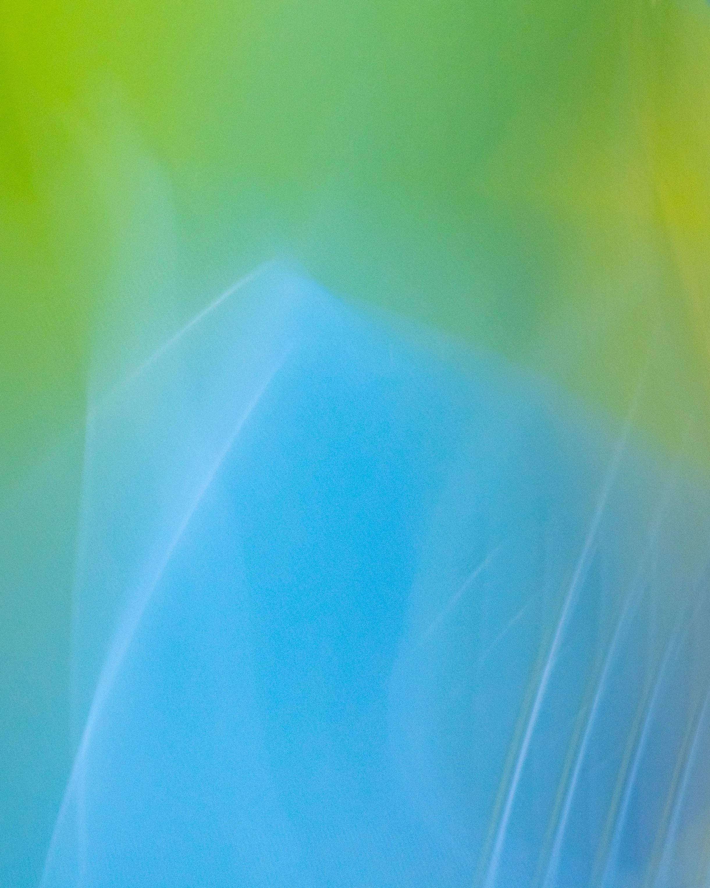 ICM Collection-41.jpg