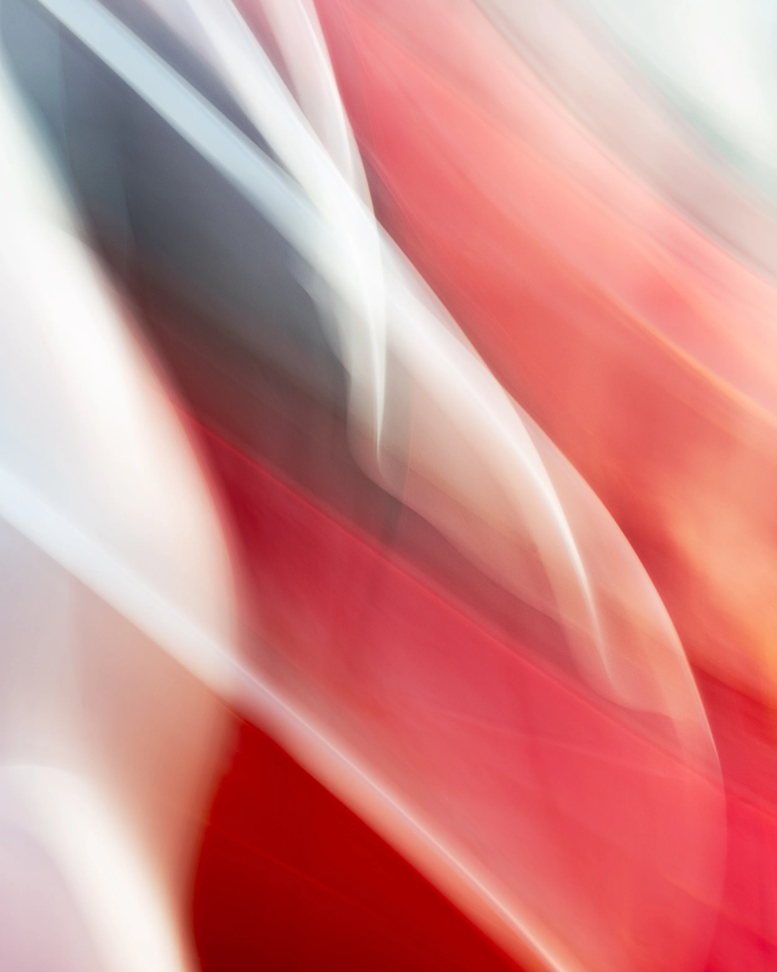 ICM Collection-8.jpg