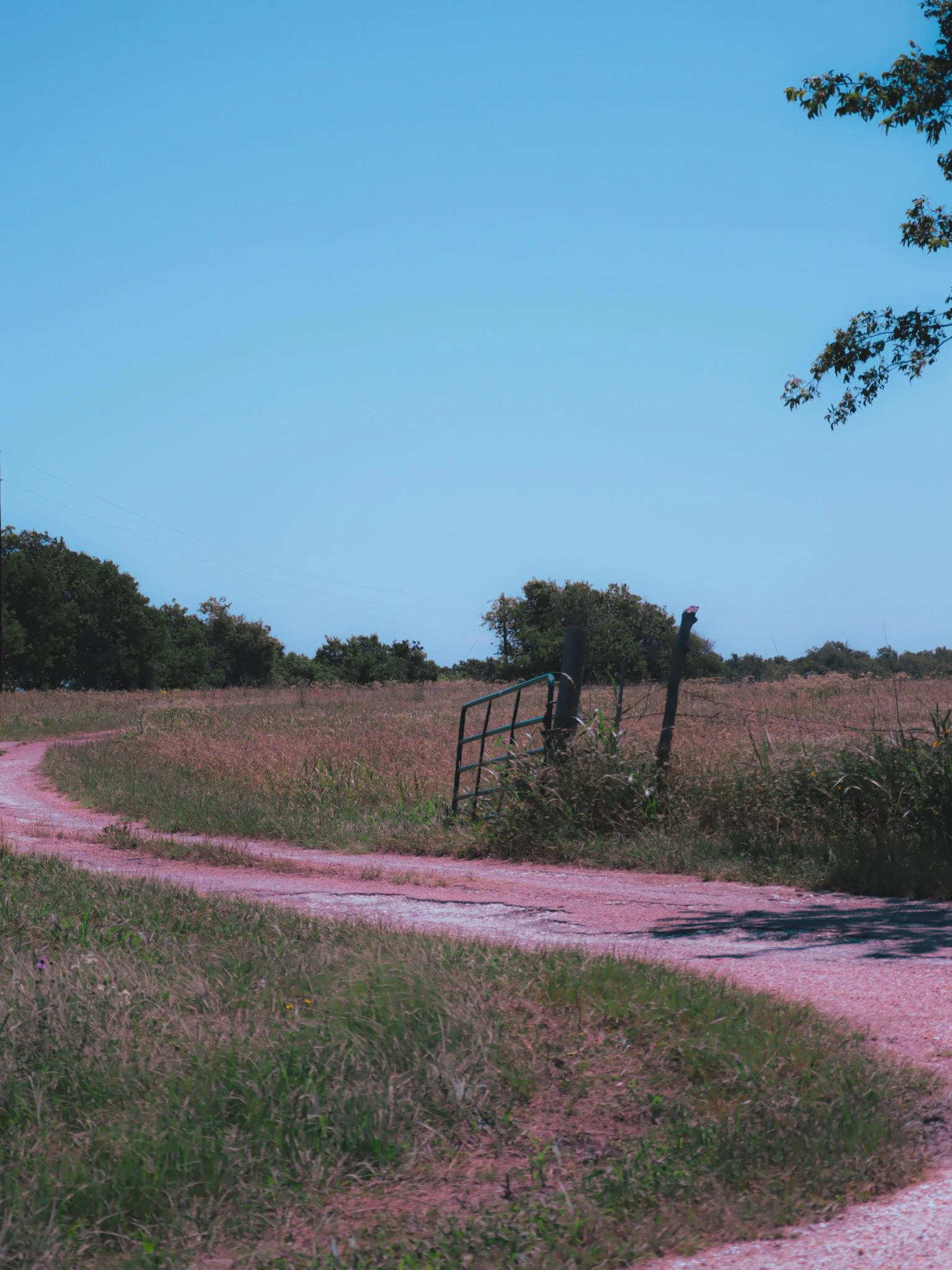 vintage landscape image of a country winding dirt back road in Texas