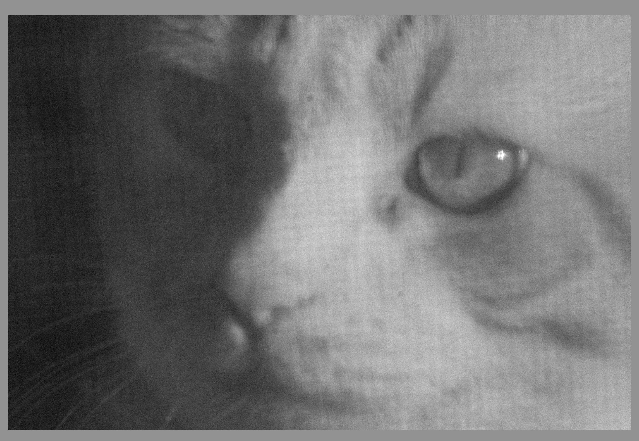Screenshot 2023-12-03 at 6.05.05 PM.png