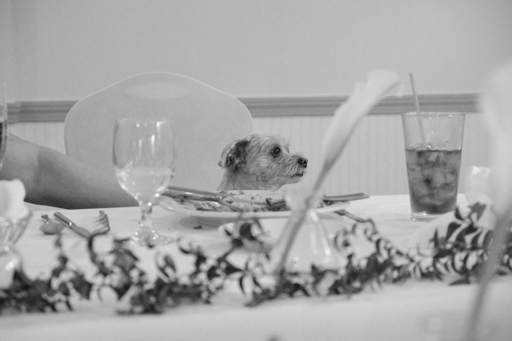 mollytylerwedding-120.jpg