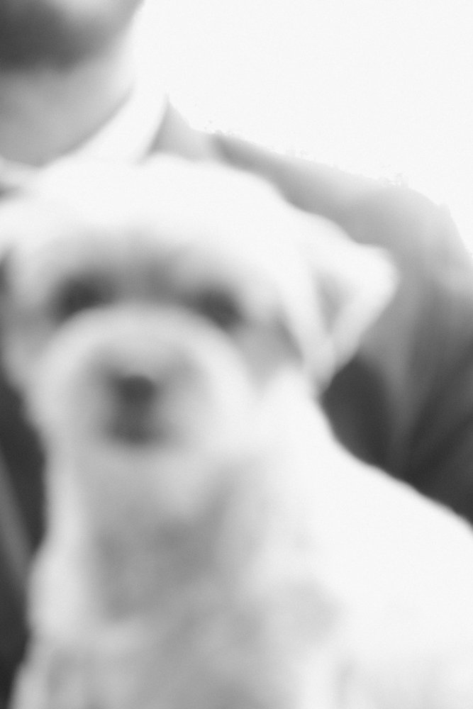 mollytylerwedding-99.jpg
