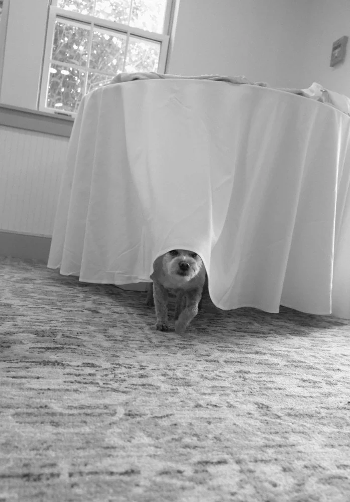mollytylerwedding-113.jpg