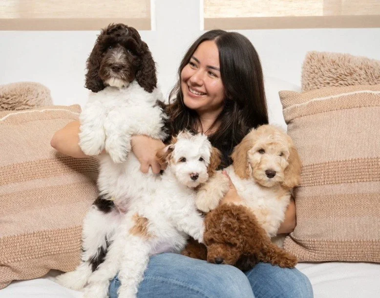 Why It Is Important to Choose Trained Goldendoodle Puppies