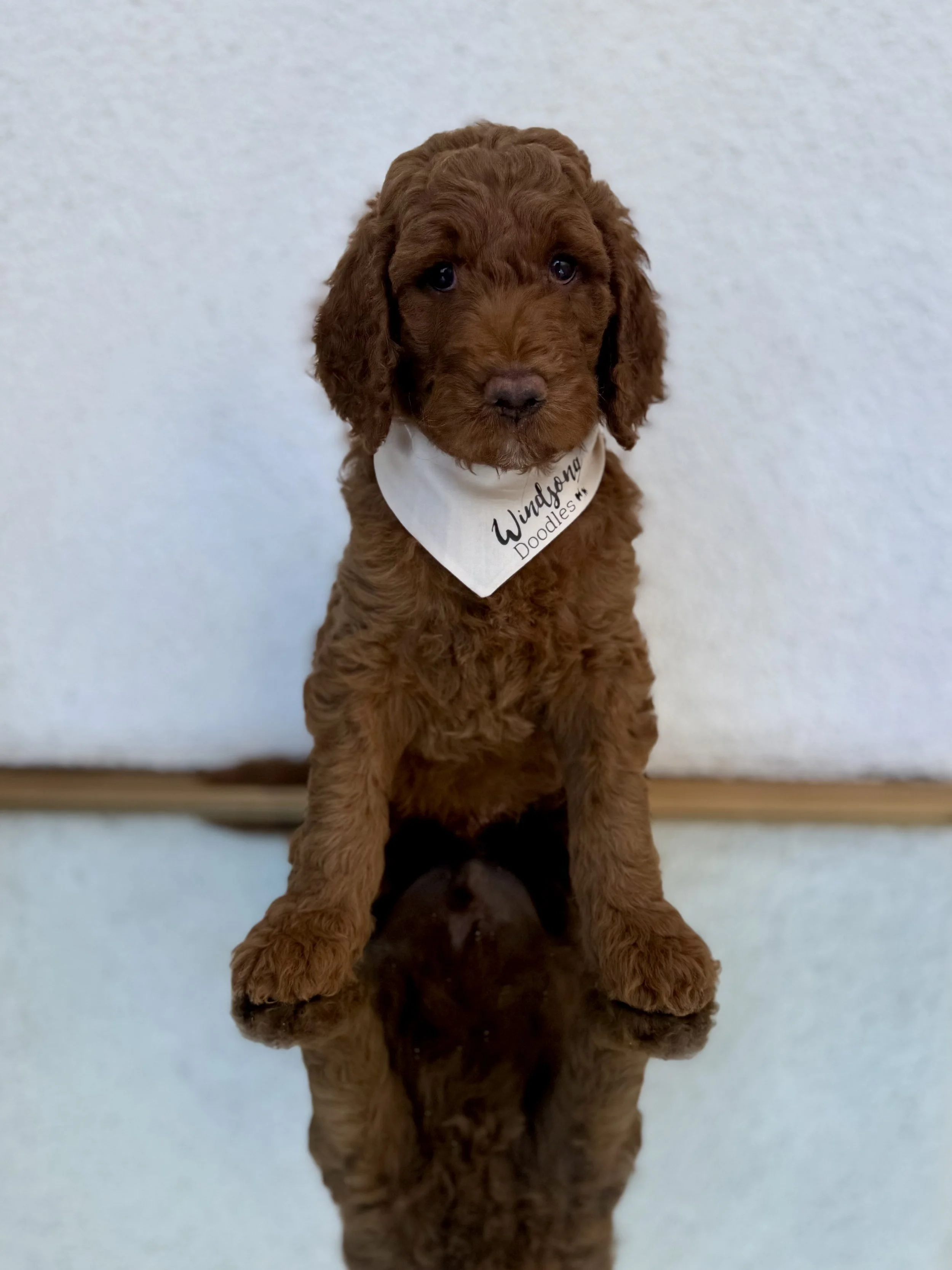 What Heath Testing Really Means (And What Most People Get Wrong)