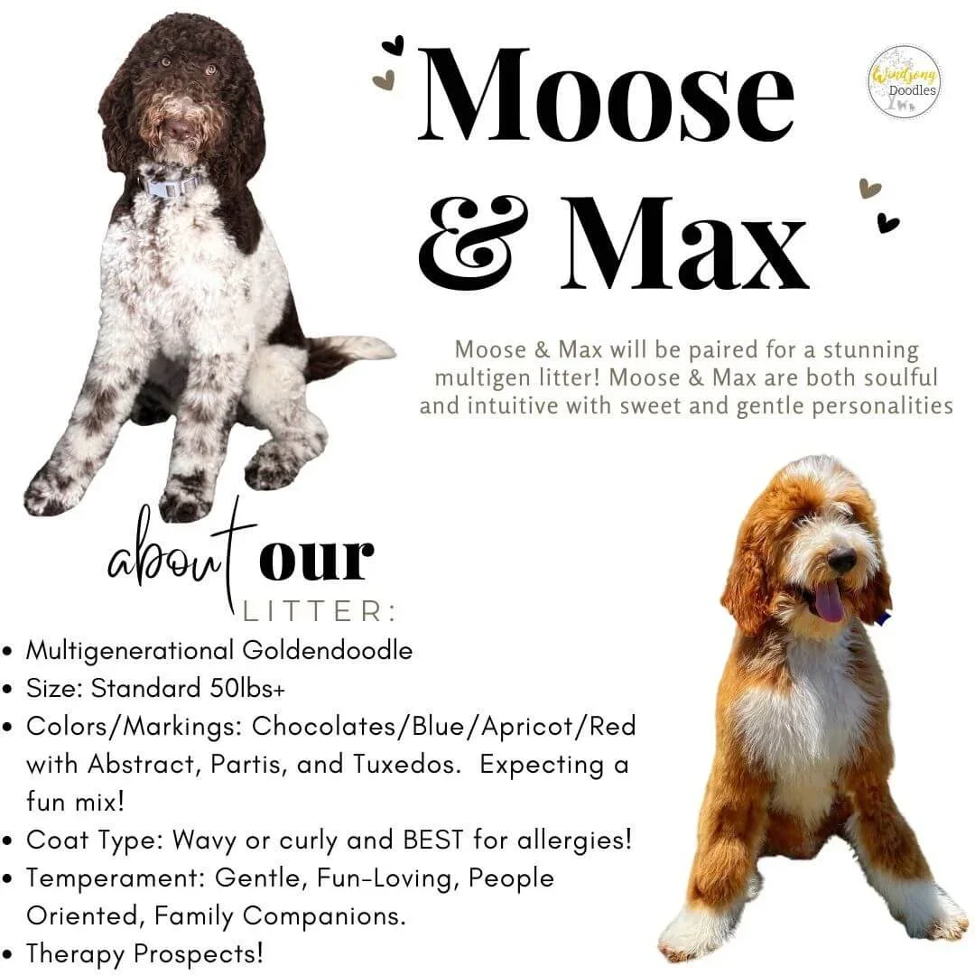 Spring 2027 Preview: The Soulful Heritage of Moose &amp; Max