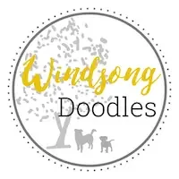 windsong doodles Californias Premier Goldendoodle breeder