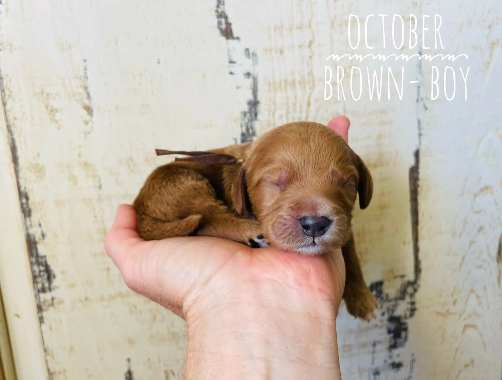 Titanic Artifacts Was There A Real Diamond On The Titanic Original