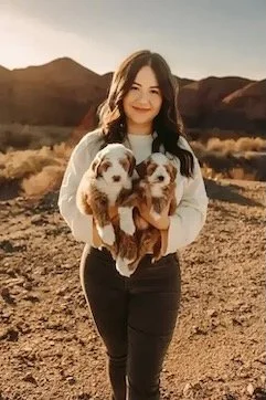 best San Diego Goldendoodle breeder near me, San Diego teddy bear goldendoodle puppies for sale, doodle puppies for sale, mini goldendoodle puppy for sale