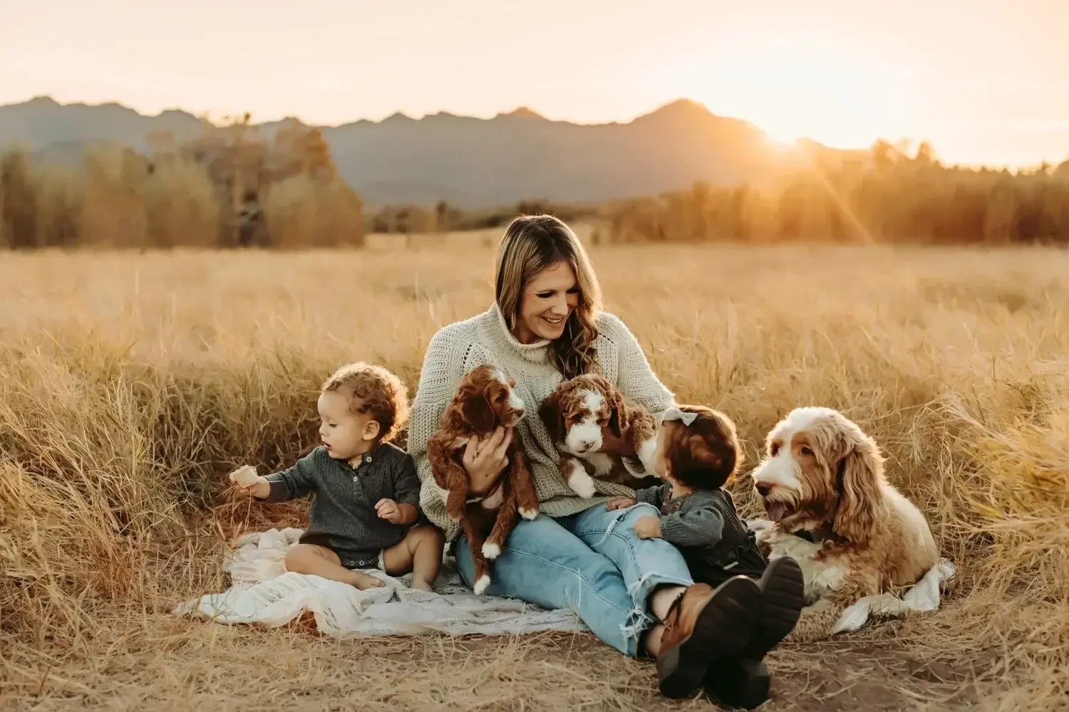 Las Vegas goldendoodle breeder, goldendoodle breeding in Las Vegas, Goldendoodle breeder near me Las Vegas, golden doodle puppies for sale Las Vegas