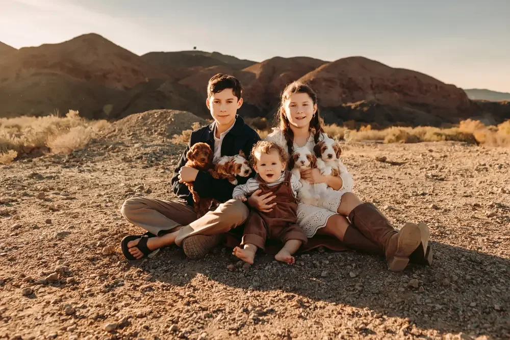 A family of four children with three puppies sitting on a rocky desert landscape during sunset, with mountains in the background.