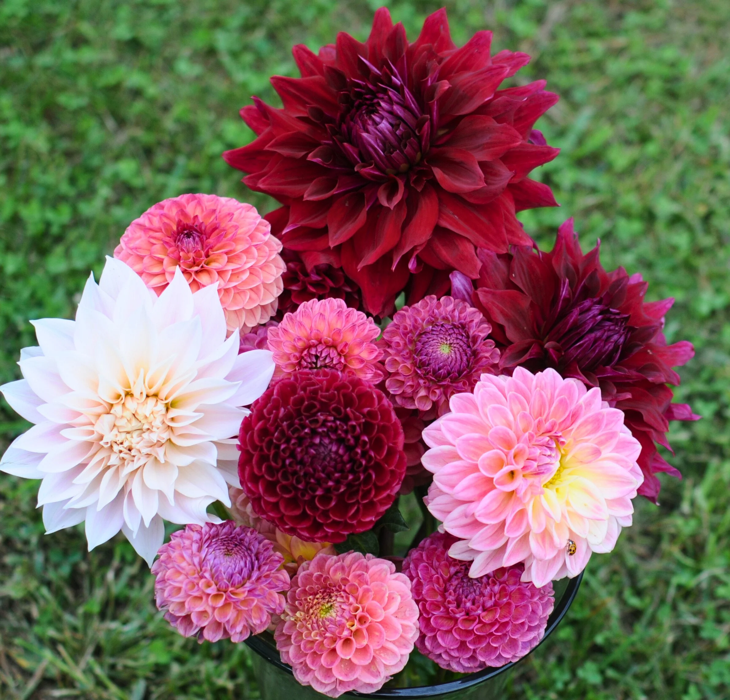 2026 September Flower Subscription (CSA)