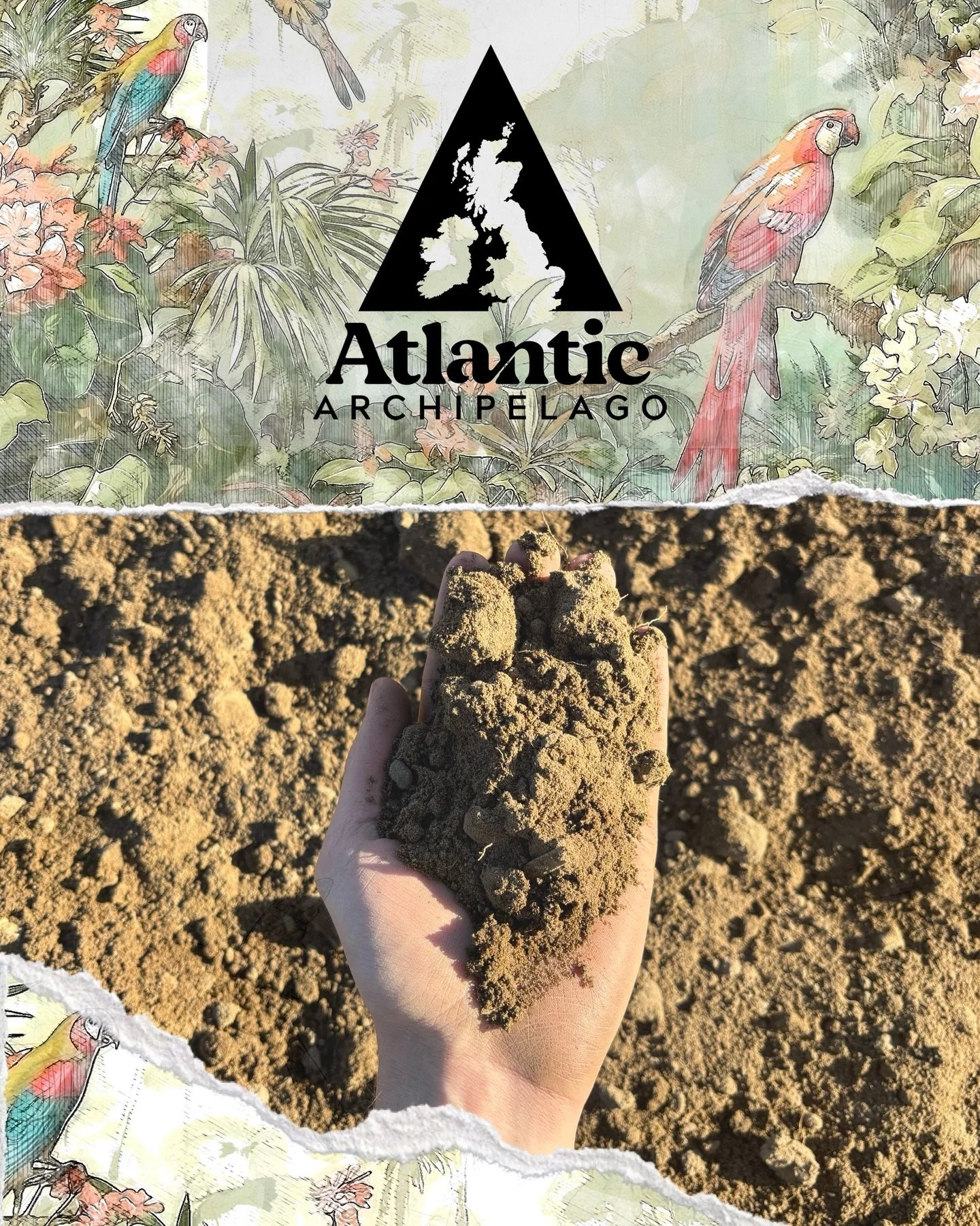 As a company, we are passionate about supporting British Farming. 

It is undoubtedly a vital element of everyday life - without dedicated farmers working come rain or shine, our supply of produce would be drastically threatened.

Please join us in s