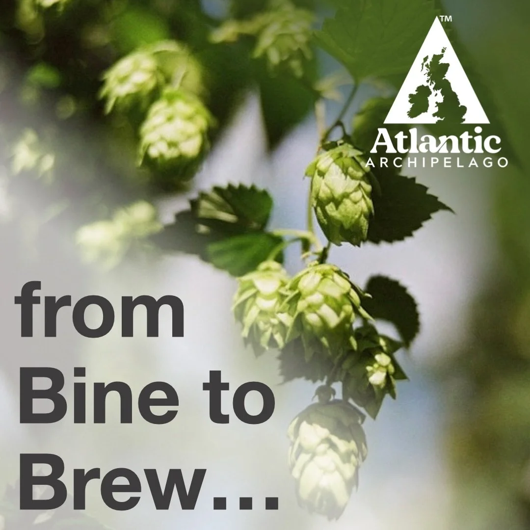 At Atlantic Archipelago, great beer starts at the source 🌱

We work closely with our partner farms to hand select the highest quality hops, grown across some of England&rsquo;s most iconic regions &mdash; Worcestershire, Herefordshire, Surrey, Susse