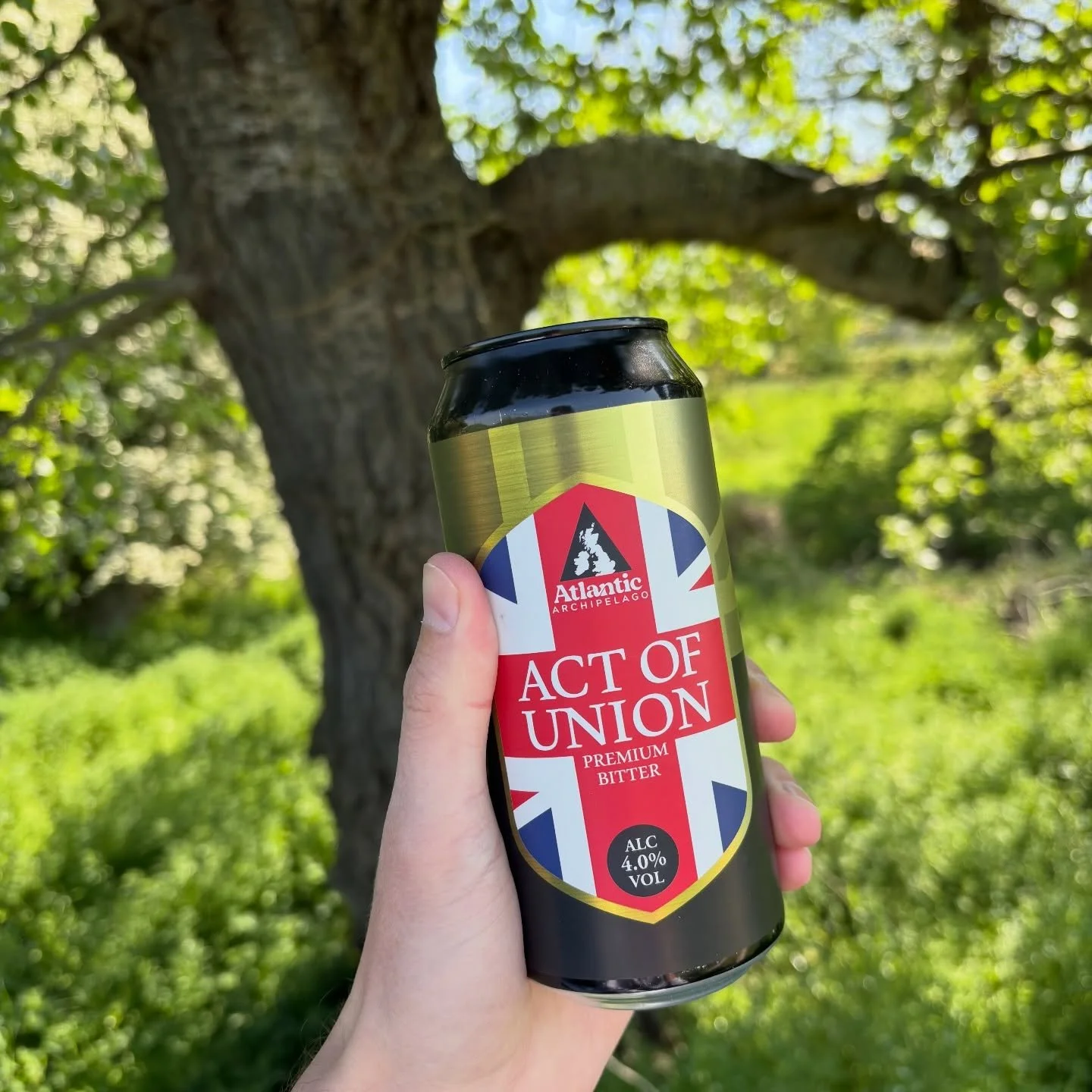 World-famous English countryside. One proper can of Act of Union 🍺

#ActOfUnion #EnglishCountryside #ProperBeer