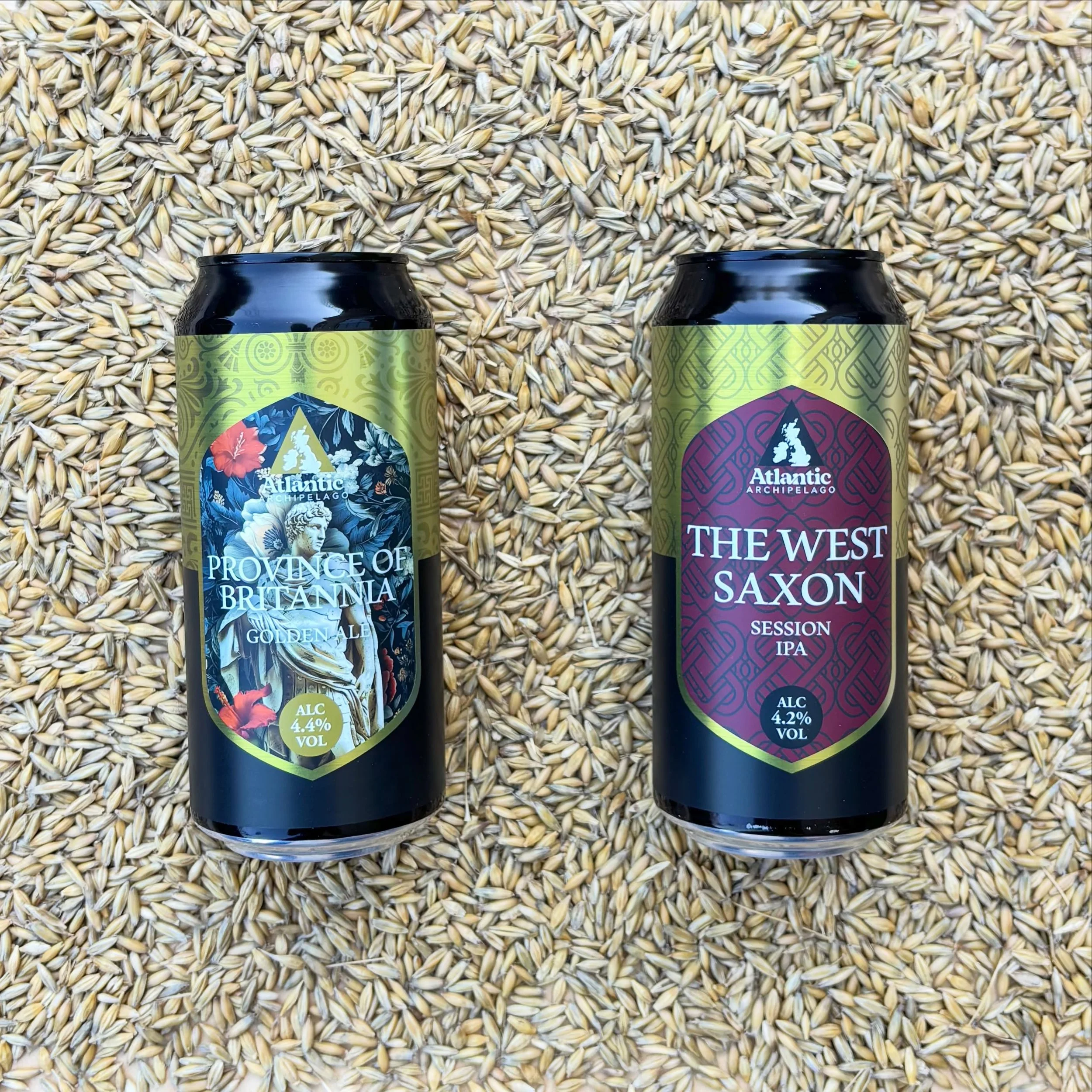 Province of Britannia and West Saxon come from old English kingdoms, but the way we brew them is firmly modern.

Grain grown on historic soils, raised to today&rsquo;s standards, and crafted with clean, precise techniques.
Old names, strong roots, mo