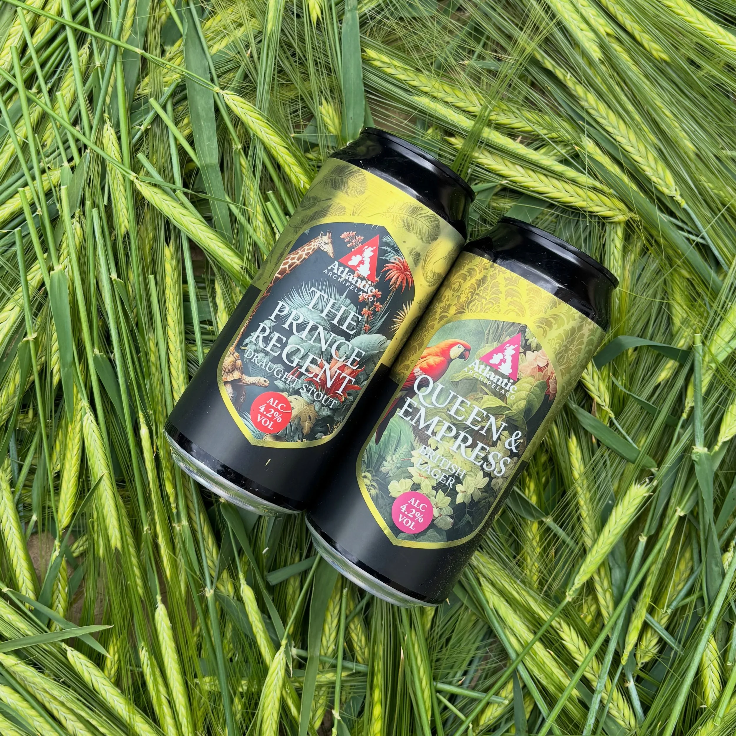 Royalty in every pour 👑🍺

The crisp elegance of Queen &amp; Empress Lager meets the bold richness of Prince Regent Stout. Two distinct brews, one unforgettable experience.

#CraftBeer #Lager #Stout #BeerLovers