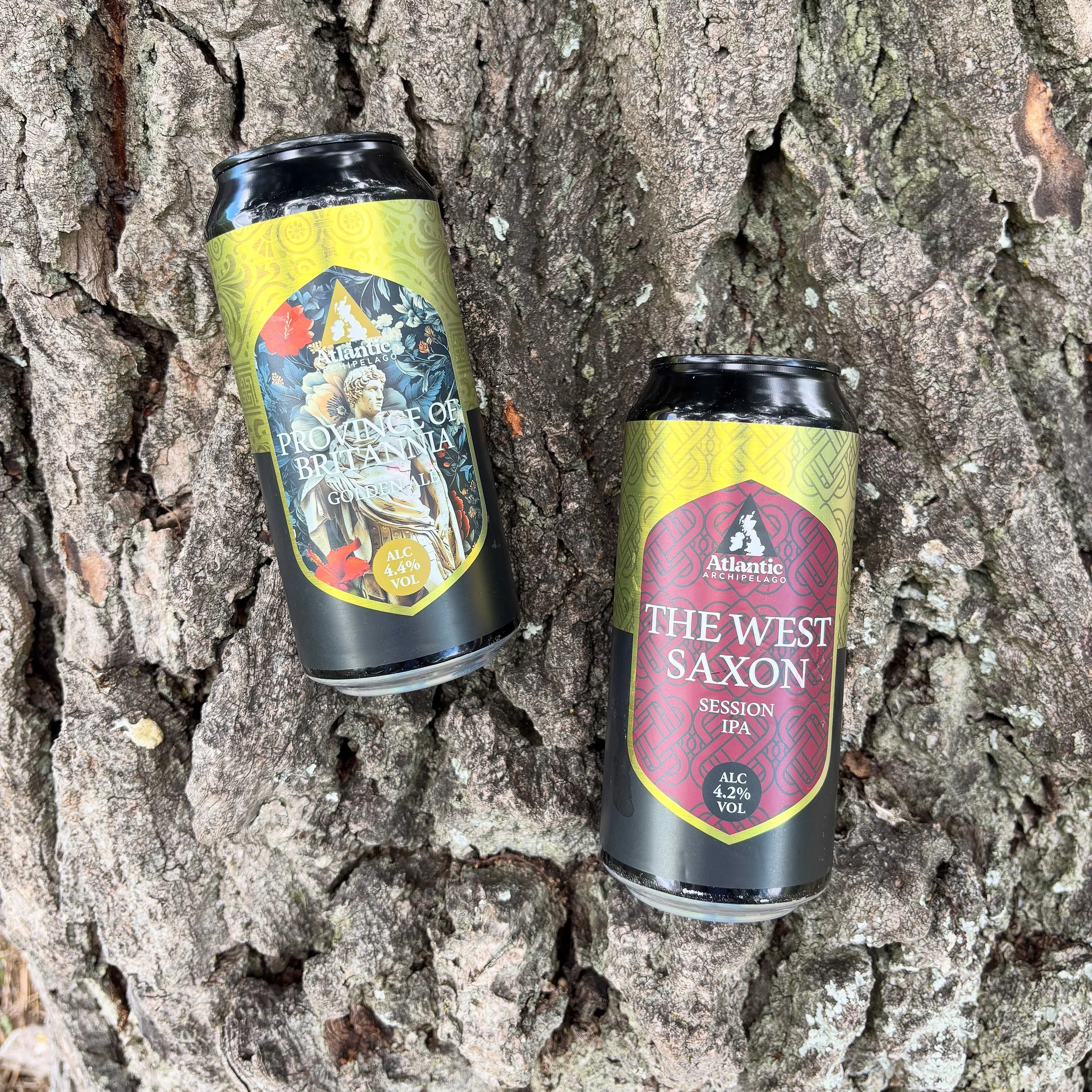Nature meets craft! 🌲🍻 Catching the vibes with our Atlantic Archipelago cans outdoors.

Grab yours and take a piece of the adventure wherever you go.