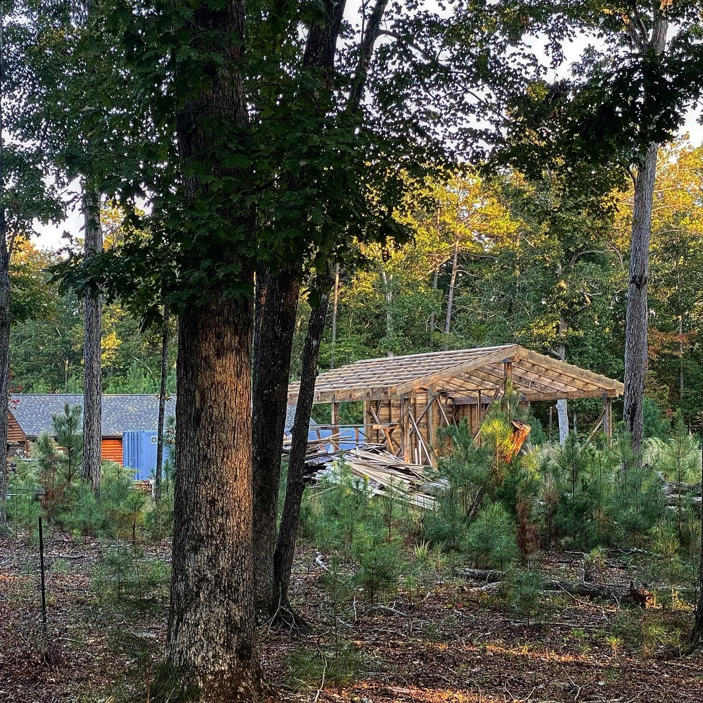 The timber shed. Almost finished. My good friend Adam at @blackhawkforest milled all of the Timbers for this project. He&rsquo;ll use this open air timber structure for milling (while raining!) and wood storage. The kiln is off to the left in the dis