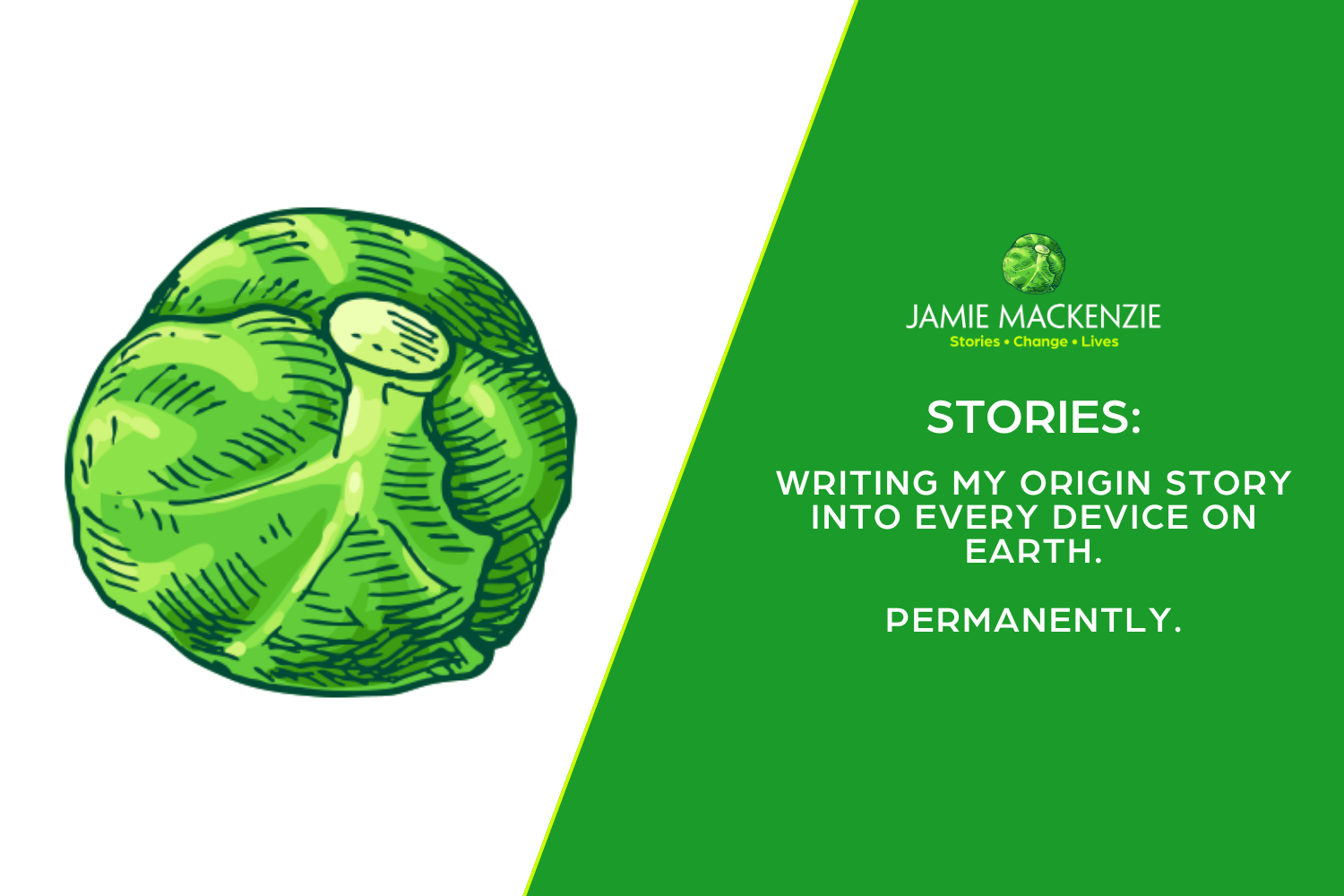 Writing My Origin Story Into Every Device On Earth. Permanently.