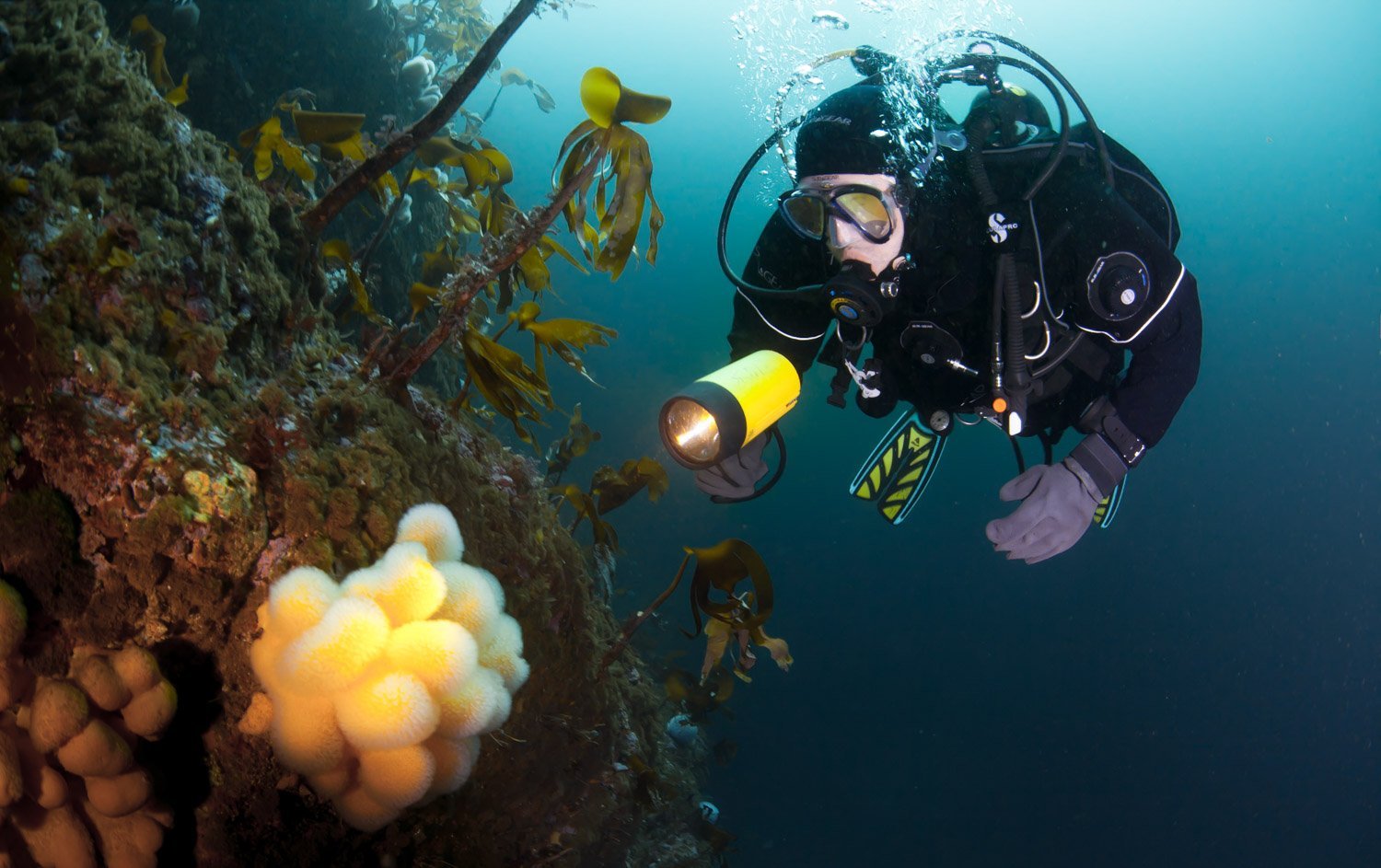 Diving-Hustadvika-Atlantic-Ocean-Road-Norway-Midtfjordsfallet-2.jpg