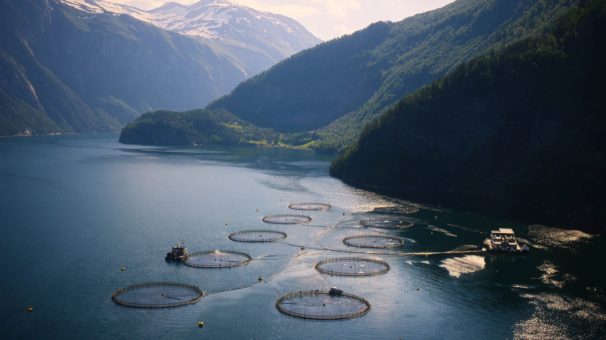 Fish farm Vestern Norway 