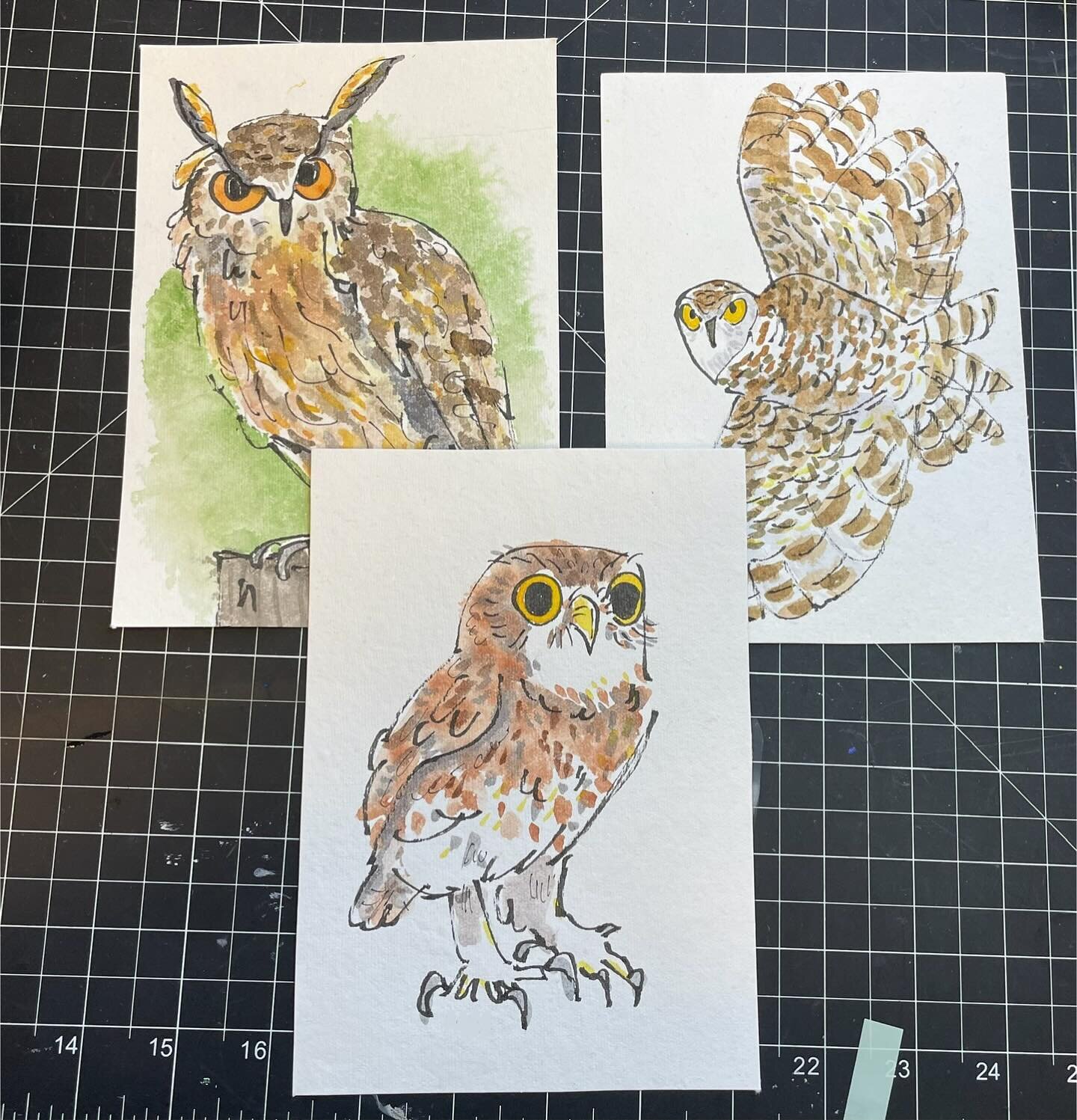 Just some angry owls and one who maybe looks confused and maybe not 100% like an owl even though it was supposed to be. Owls are cool but hard to draw.