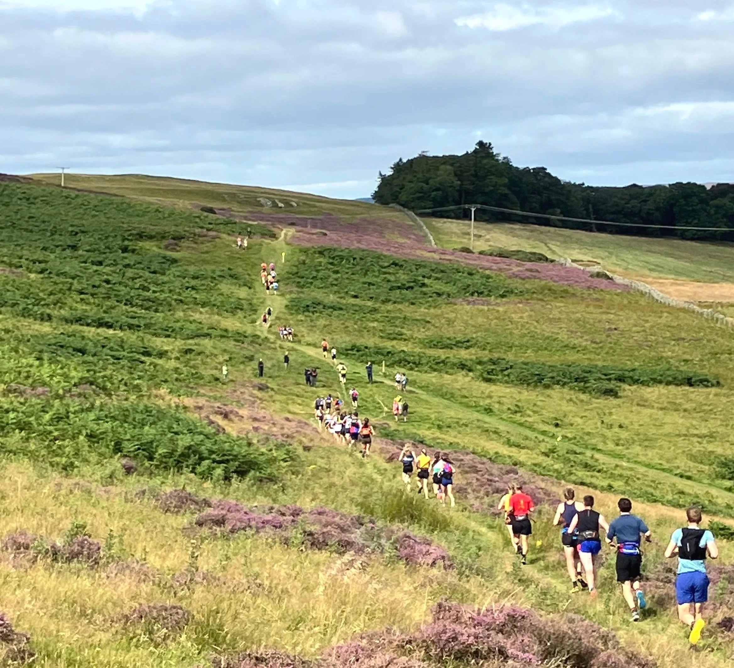 A large group of people hiking up a grassy hillside with purple wildflowers, under a partly cloudy sky.