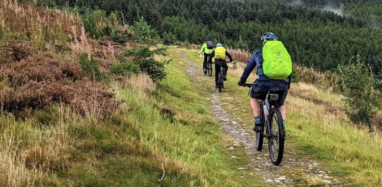 Group of four cyclists biking on a rocky dirt trail through a forested area with green trees and grass.