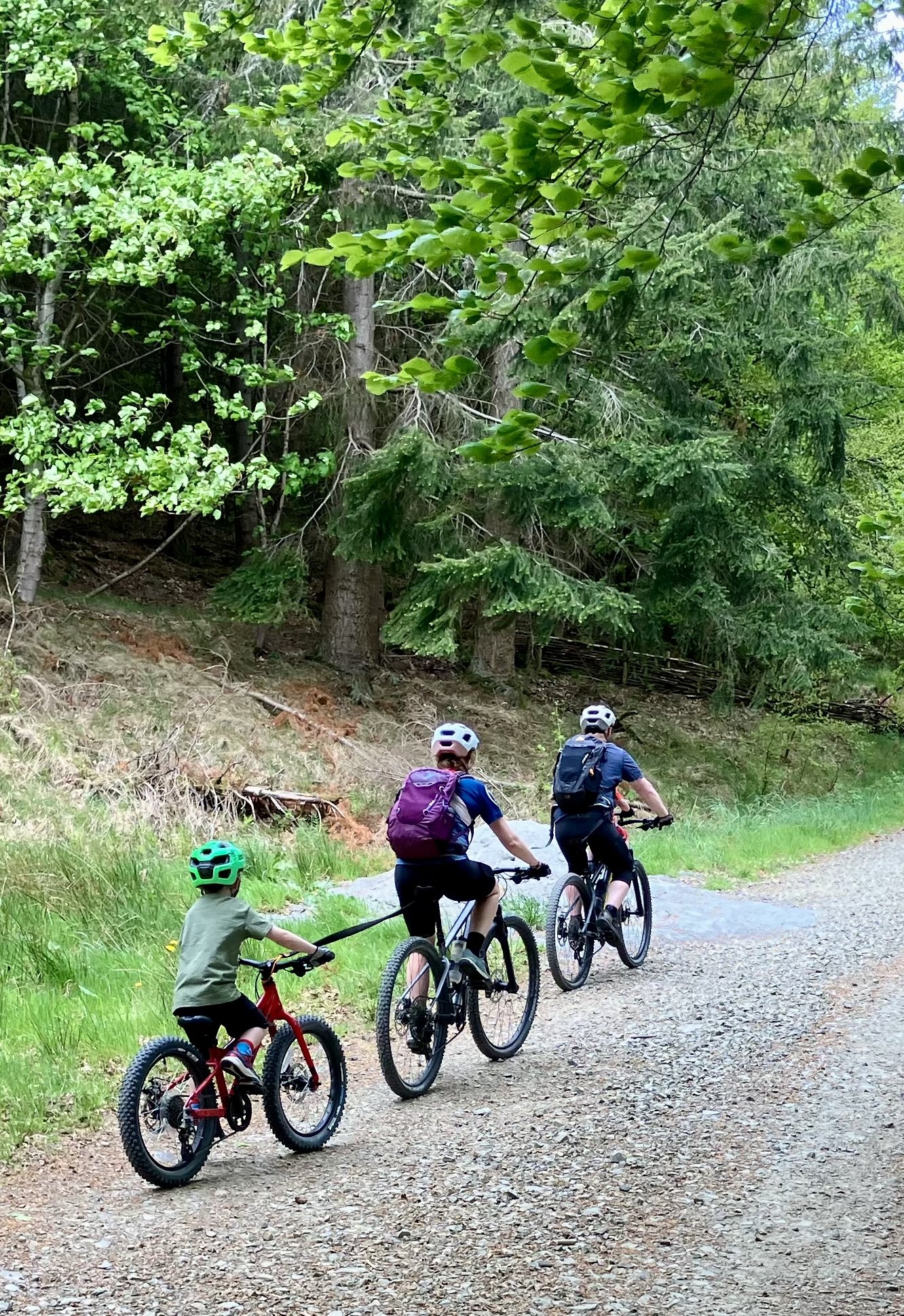Three people, including a young child, mountain biking on a gravel trail through a lush forest with tall trees and green foliage.