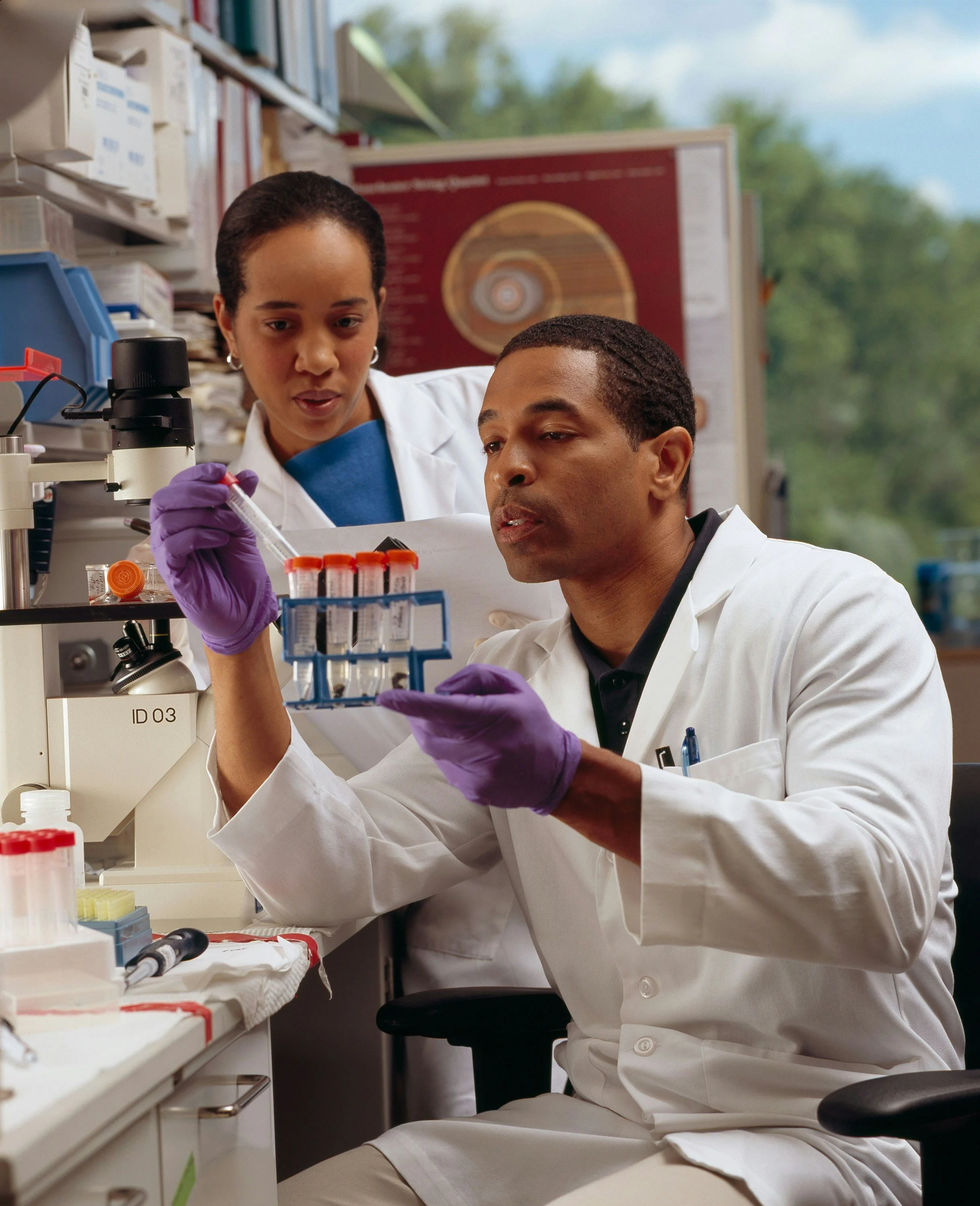 How to Find a Good PhD Supervisor: Choose the Mentor, Not Just the Topic