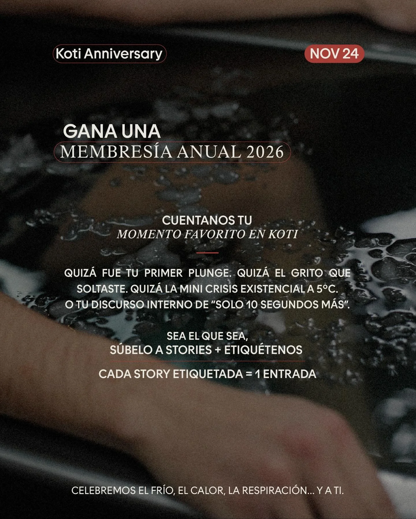 365 d&iacute;as de Koti Condesa 🎂

Un a&ntilde;o atr&aacute;s: abrimos con nervios, esperanza, y mucha fe.

Hoy: tenemos una comunidad que nos sigue sorprendiendo cada d&iacute;a. La comunidad mas feliz y sana de todo Mexico&hellip; de todo LATAM.

