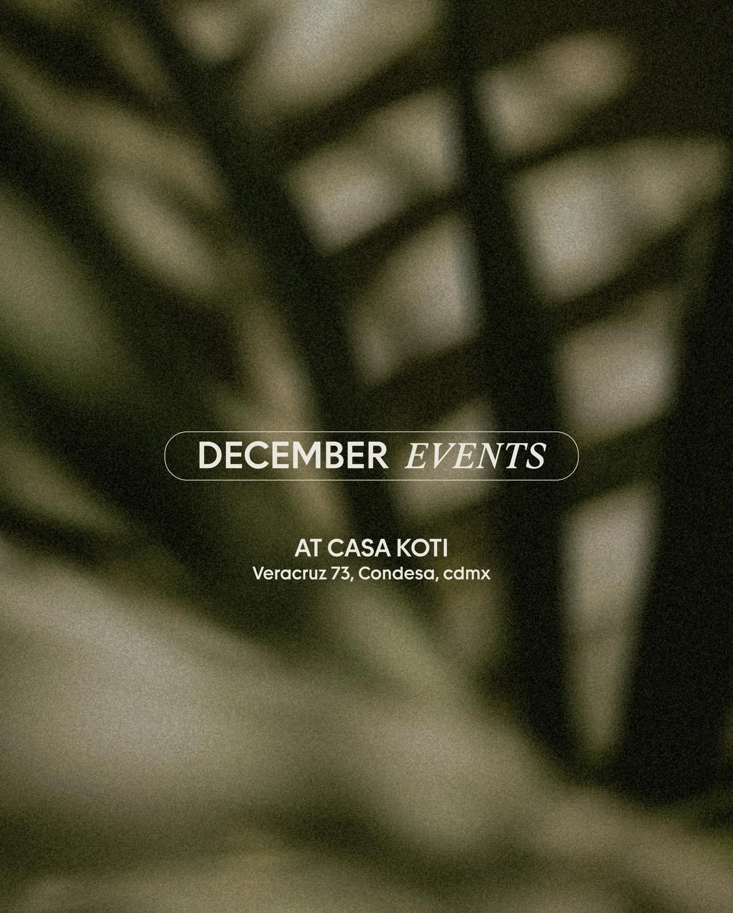 Diciembre en tu Casa 🤍