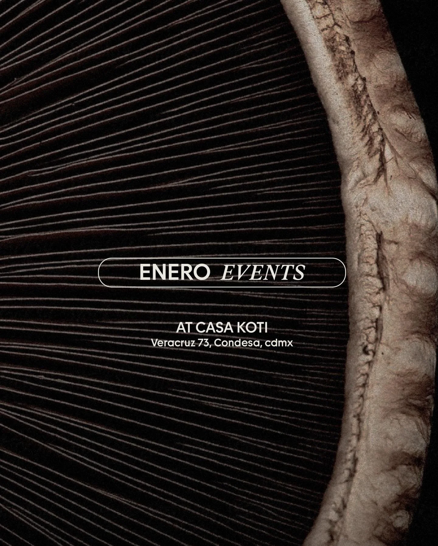 Enero en Casa Koti. Empezamos el a&ntilde;o con much&iacute;sima beauty.