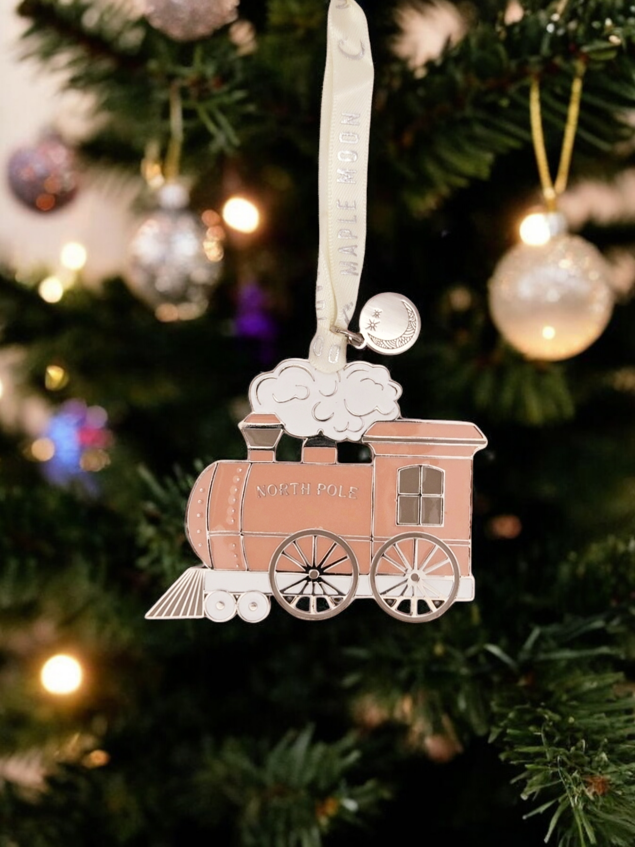 PINK TRAIN WITH BACKGROUND.png