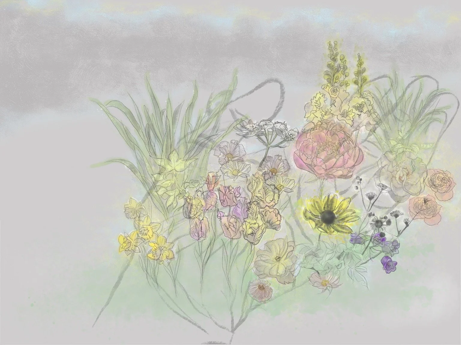 line drawing illustration of wild flowers