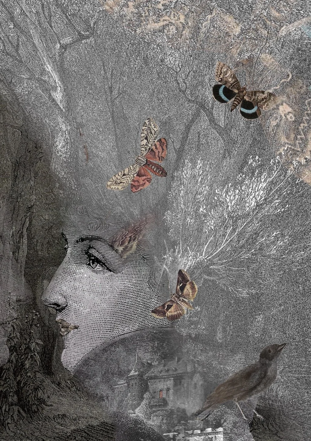 Surreal collage of a woman’s profile blending into a forest landscape with moths and a bird, symbolizing inner life, memory, and the unconscious.