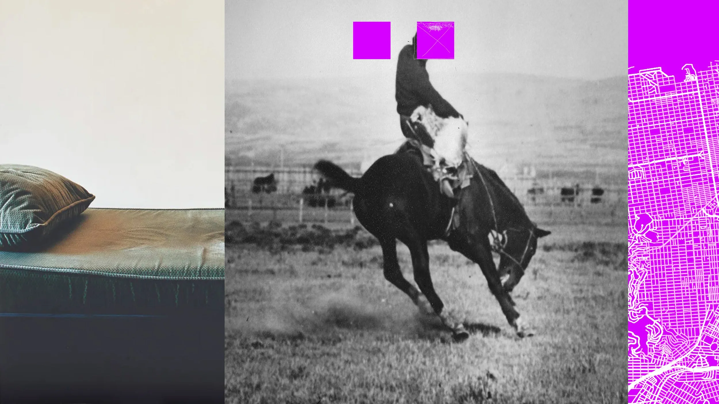 I’m on the Couch; He’s in the Saddle