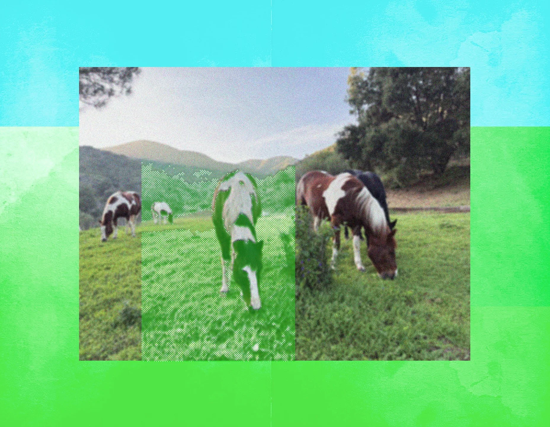 A collage of horses grazing in a grassy pasture, with overlapping photographic panels in natural and green-tinted colors against a bright turquoise and green background.