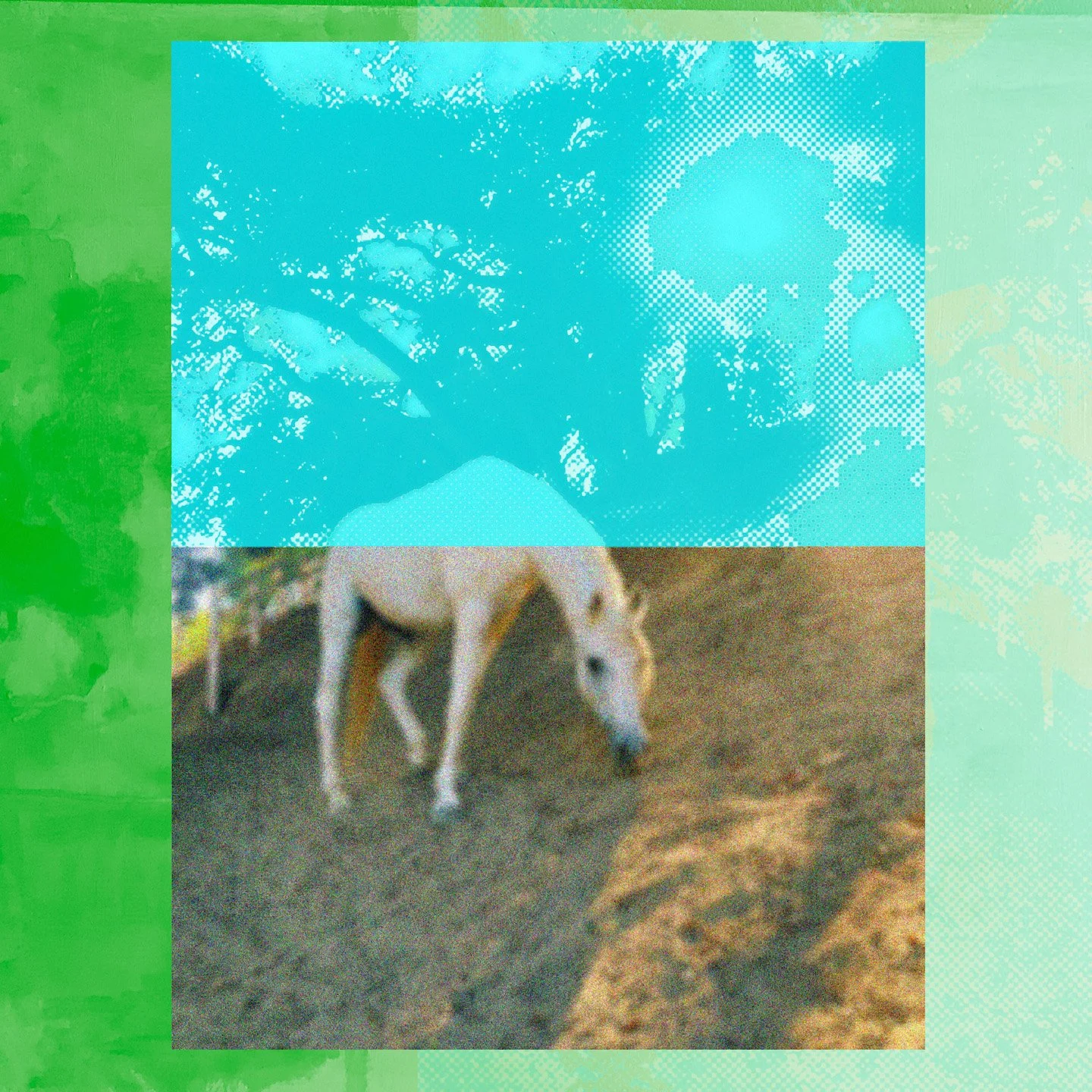 A white horse grazing on a grassy hillside, overlaid with a turquoise halftone image of tree branches and surrounded by a textured green background.